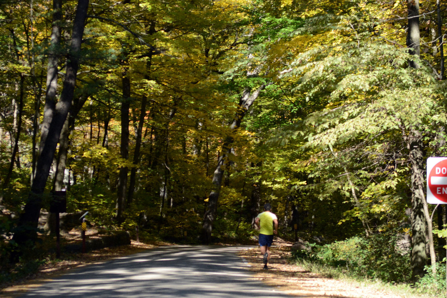 Baraboo area fall color, Oct. 8, 2020
